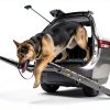 Dog Car Ramp PAWUV Aluminum Foldable for Large Dogs-2