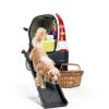 Nova Microdermabrasion Dog Car Ramp Plastic Foldable-2