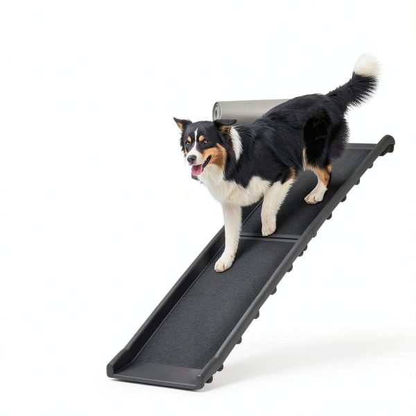 Nova Microdermabrasion Dog Car Ramp Plastic Foldable-5